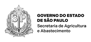 Brasão